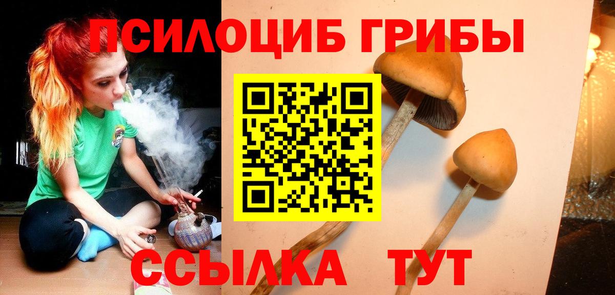 Галлюциногенные грибы Psilocybine cubensis Наро-Фоминск