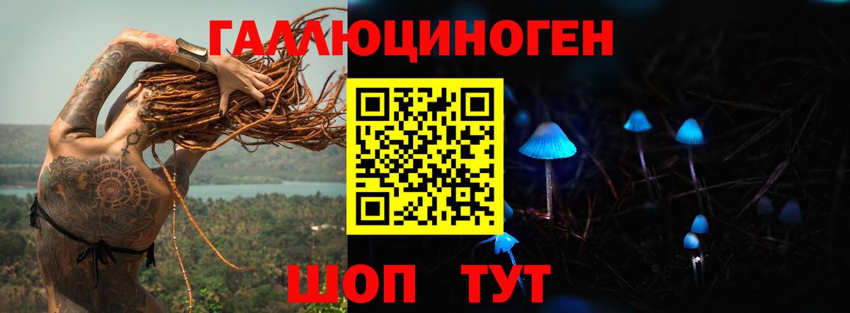 Псилоцибиновые грибы Psilocybine cubensis  Псилоцибиновые грибы мицелий  Наро-Фоминск  Вход с VPN 